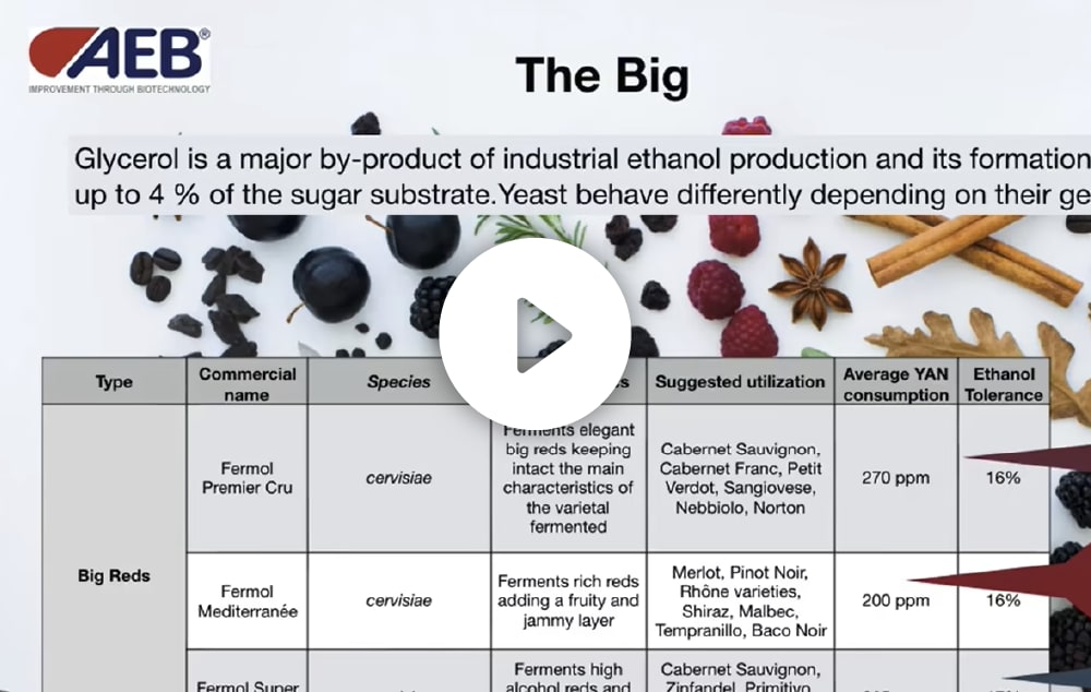 Wine yeasts features & activity AEB Group