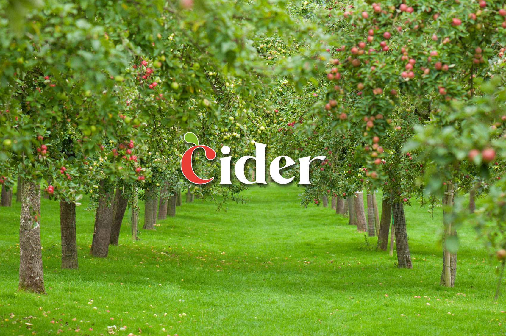 Cider: everything for preparation and production | AEB
