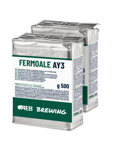 FERMOALE AY3