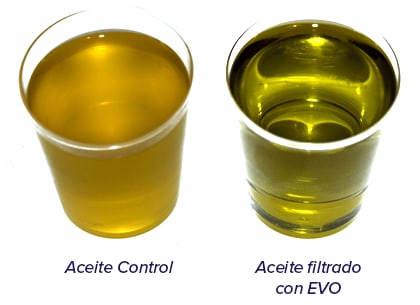 Filtro EVO Maggio 2019