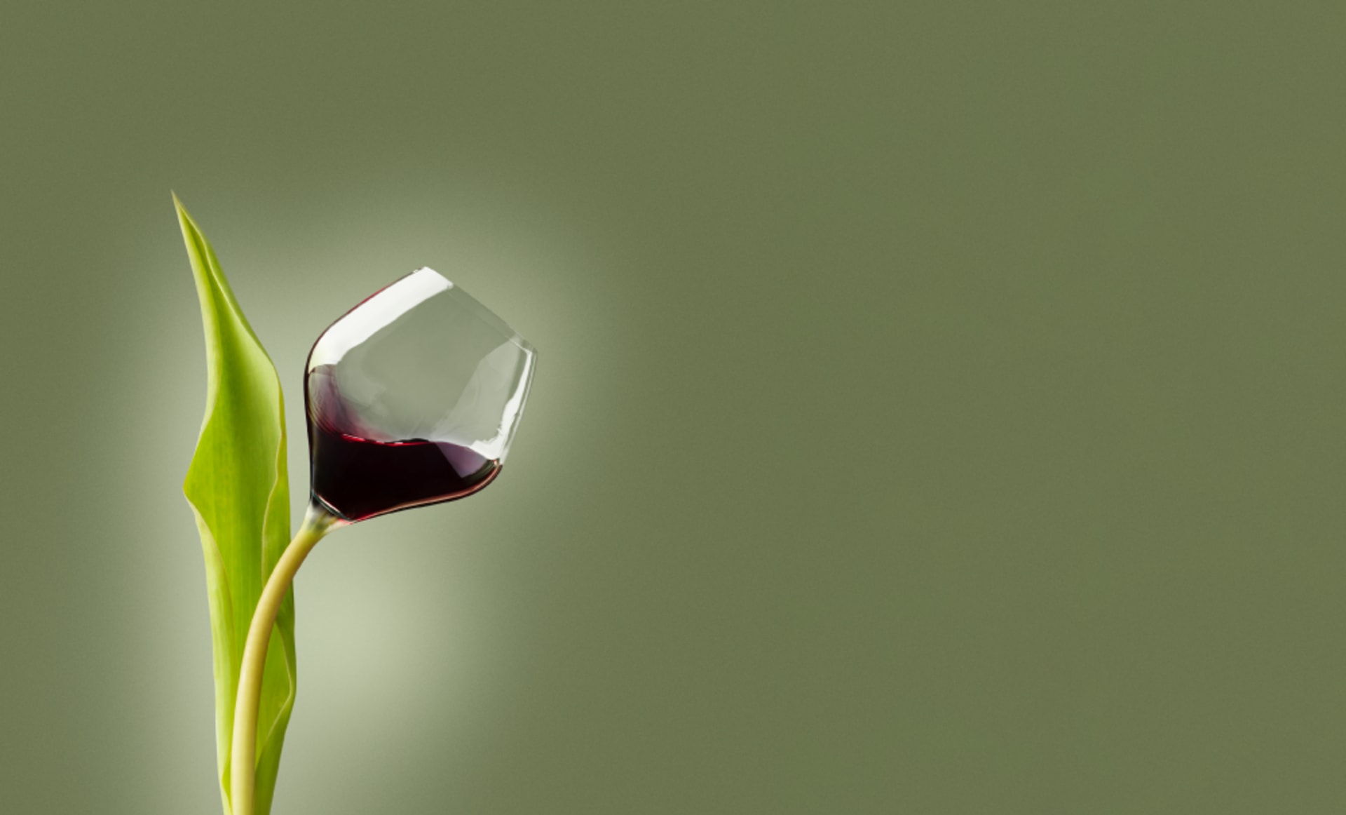 Fenntartható bor, kutatás és megoldások, megelőző és célzott AEB borászat