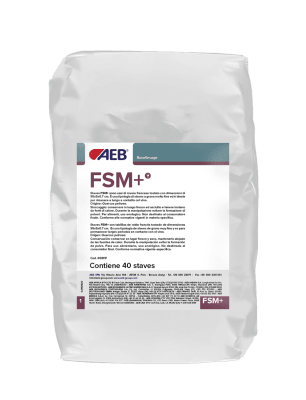 FSM+