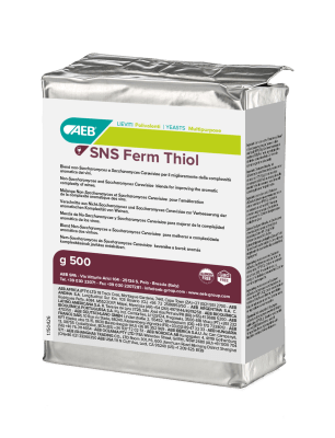 SNS FERM Thiol