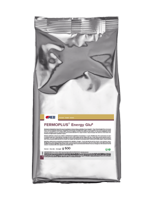 FERMOPLUS Energy Glu