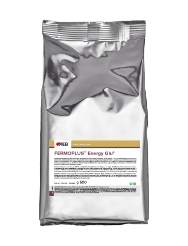 FERMOPLUS Energy Glu