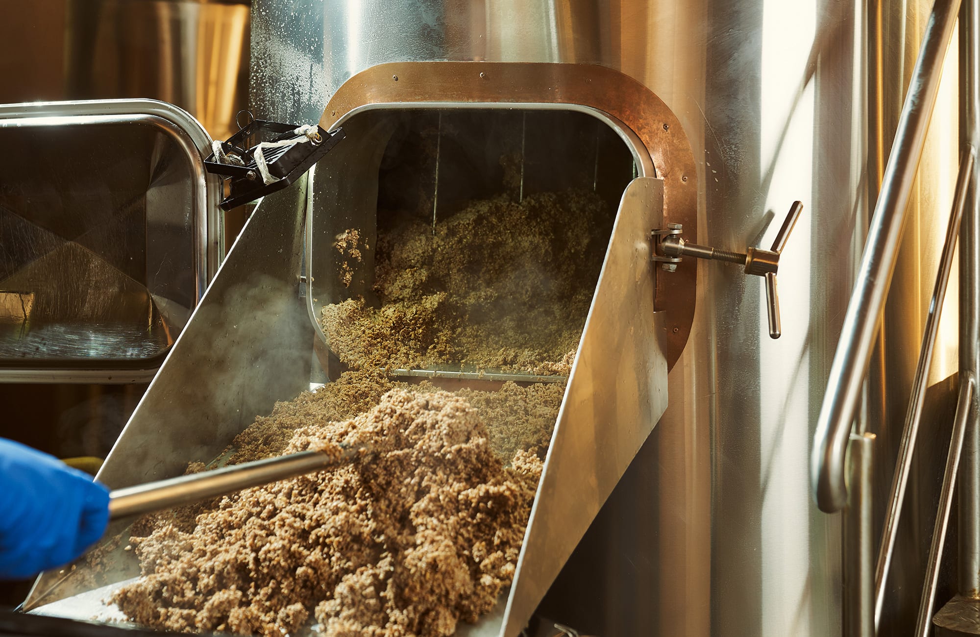 Biotechnology and beer brewing process products