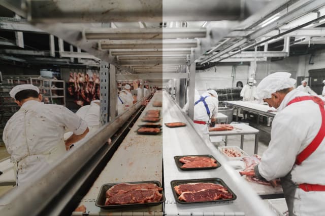 HOW TO PREVENT CONTAMINATION IN THE MEAT AND FOOD PROCESSING INDUSTRY