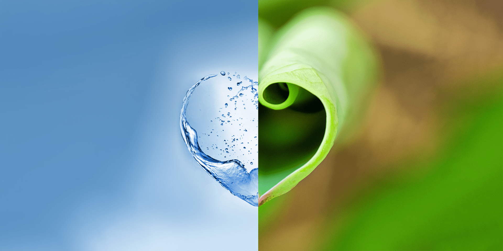 Detergenti green sostenibili rispetto ambiente