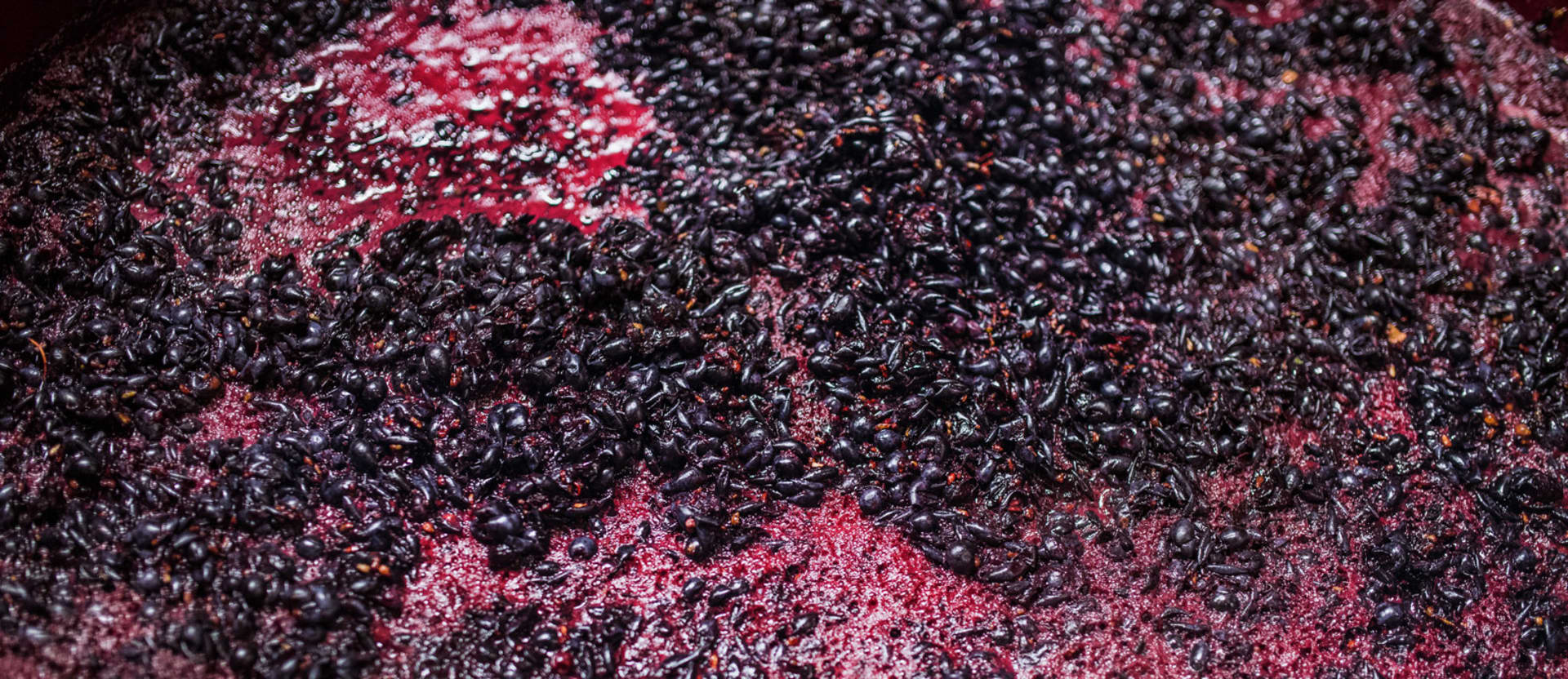 Equipamento vinho para fermentação alcoólica, maceração, dosagem de coadjuvantes enológicos