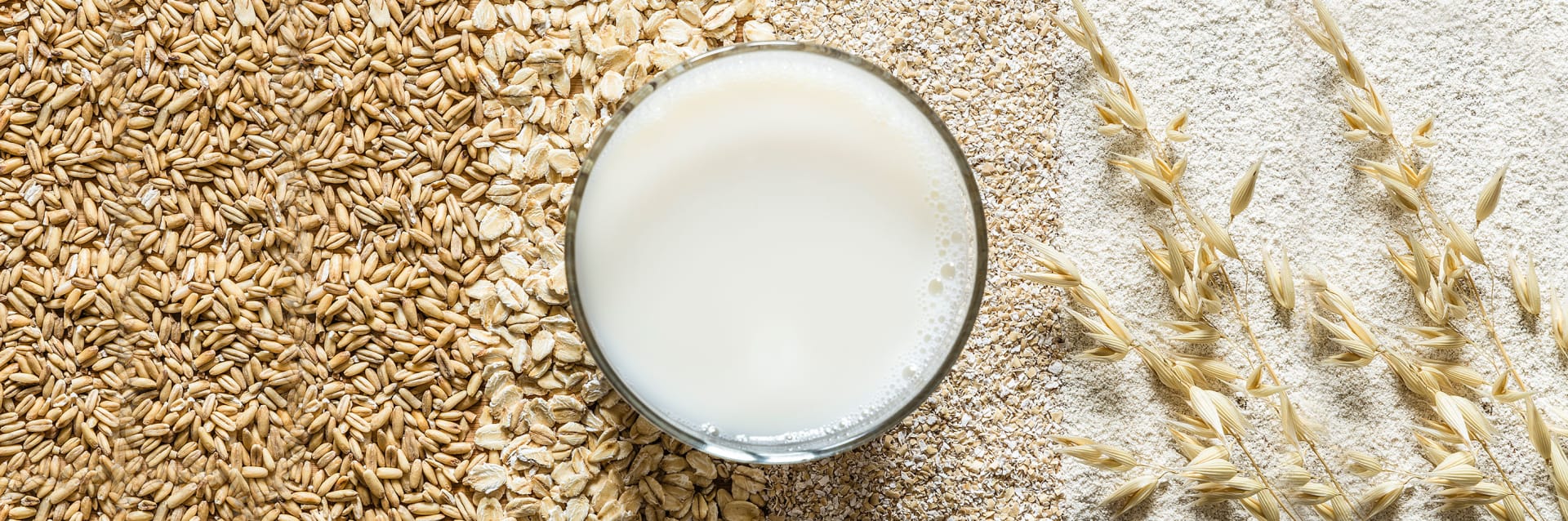 enzimi produzione latte d’avena soia bevande vegetali biologiche
