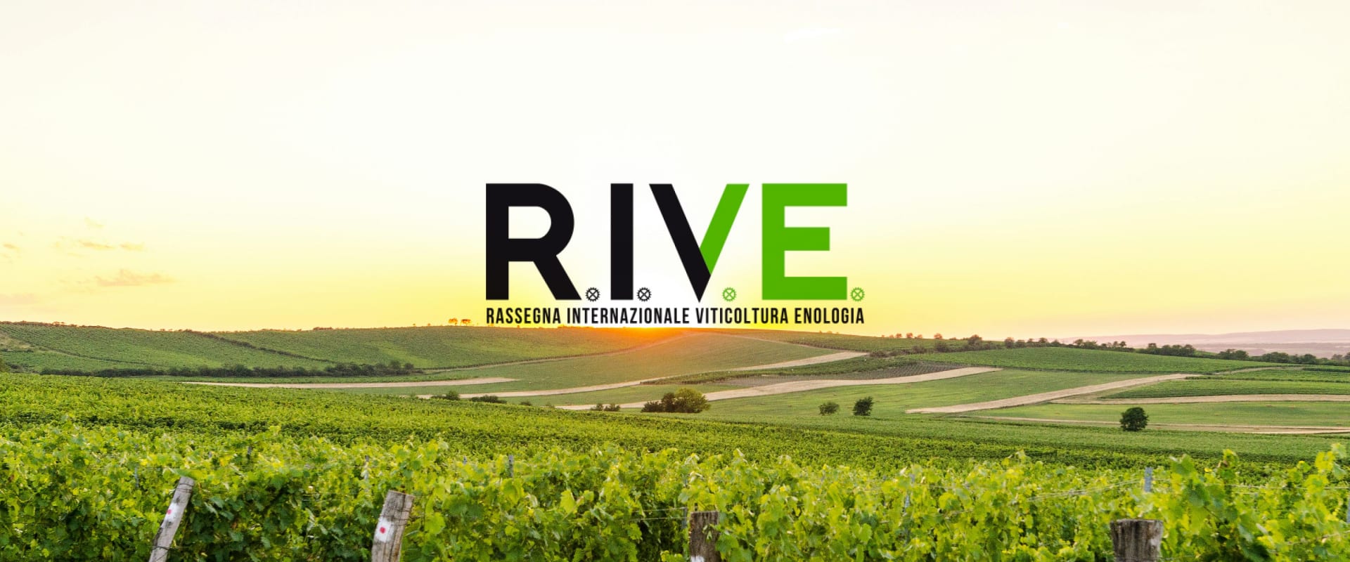 RIVE 2025