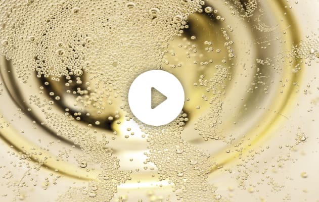 SPARKLING WINES: THE KEY FACTORS FOR PRESSING AND PREPARING THE MUST