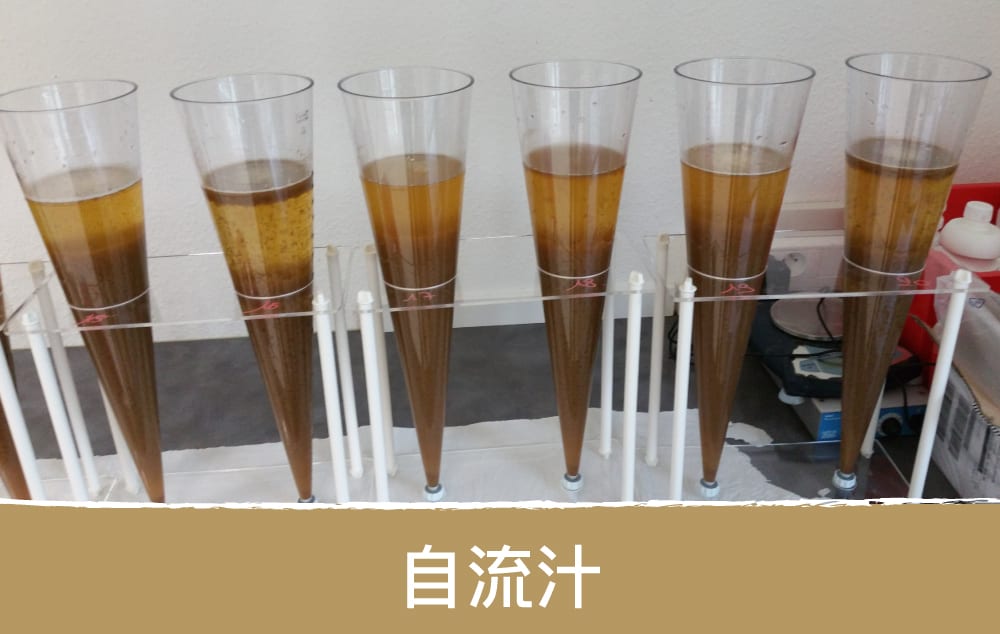 在有针对性地处理自流汁时,必须使用具有广谱作用的澄清剂去除植物保护剂、植物衍生物和多酚类物质的所有残留物,植物性、纯素性和无过敏原澄清剂 自流汁,淋帽汁,去除植物上的残留物,澄清剂,植物性澄清剂,AEB酿酒工艺