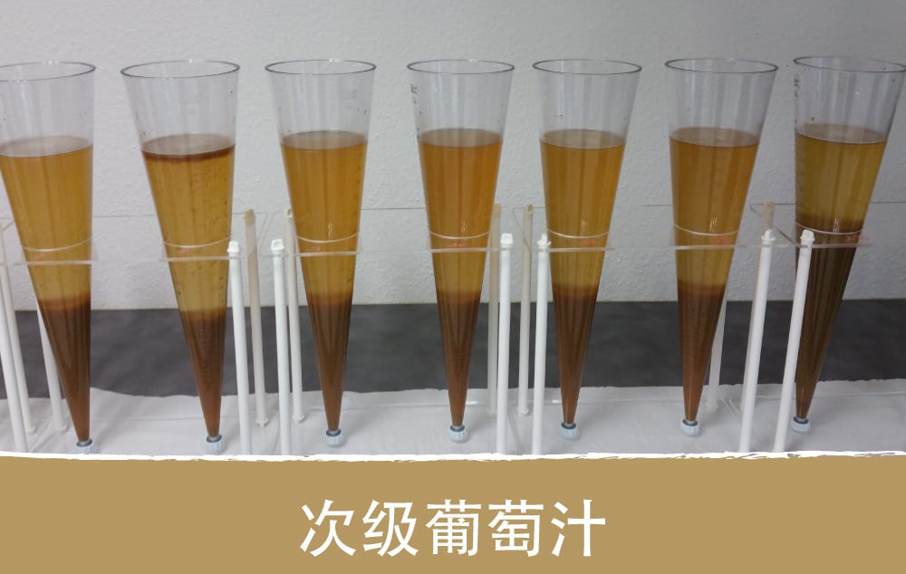 需要使用澄清剂去除次级葡萄汁中的可氧化多酚 次级葡萄汁,可氧化的多酚,抗氧化澄清剂,AEB酿酒工艺