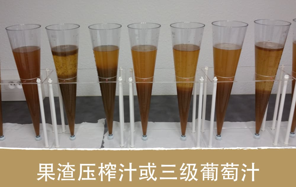 建议在果渣压榨汁中使用大量澄清剂来去除可氧化多酚和氧化多酚 果渣,三级葡萄汁,葡萄汁加工,澄清剂,AEB酿酒工艺