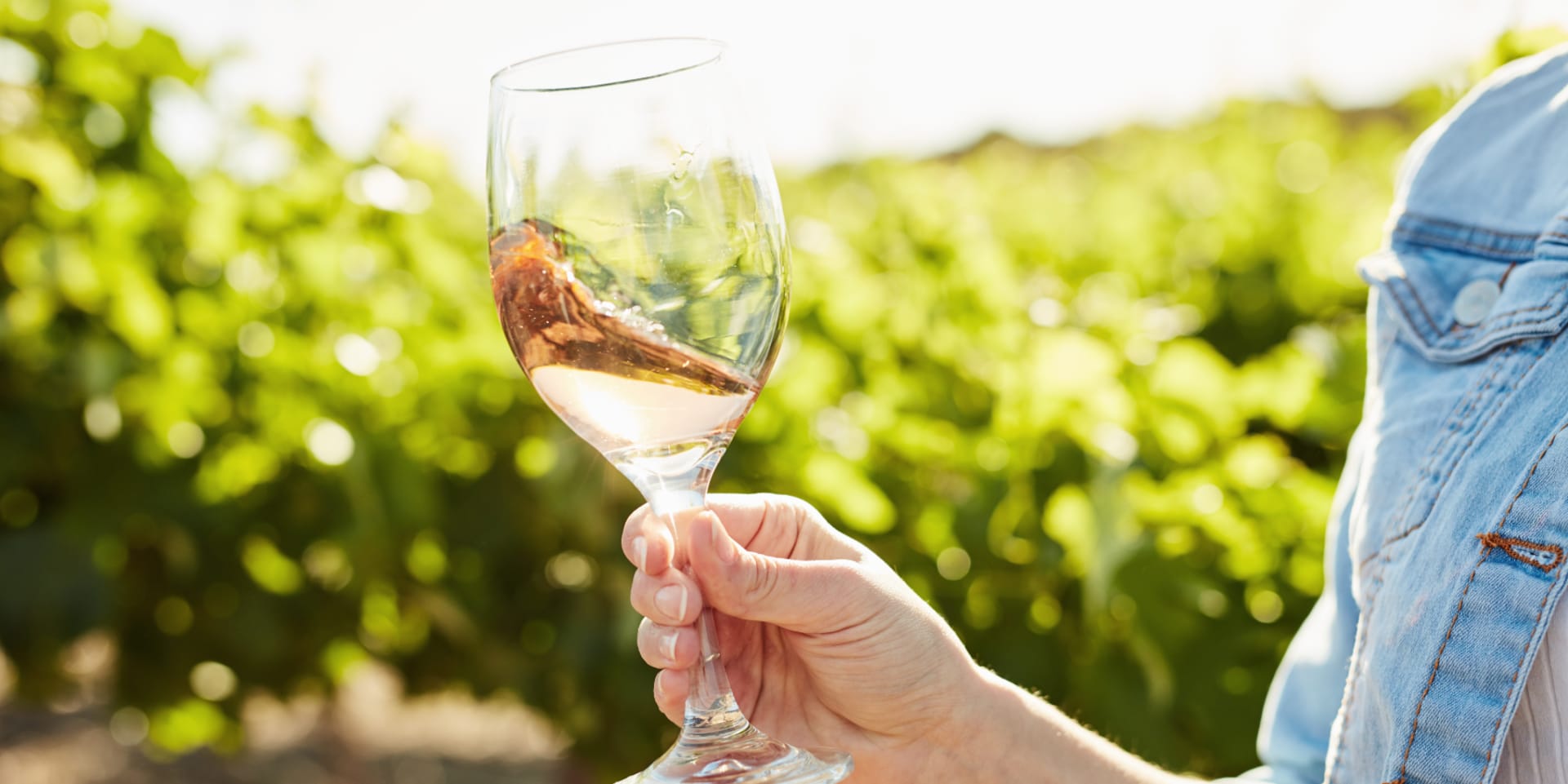 come si filtra il vino